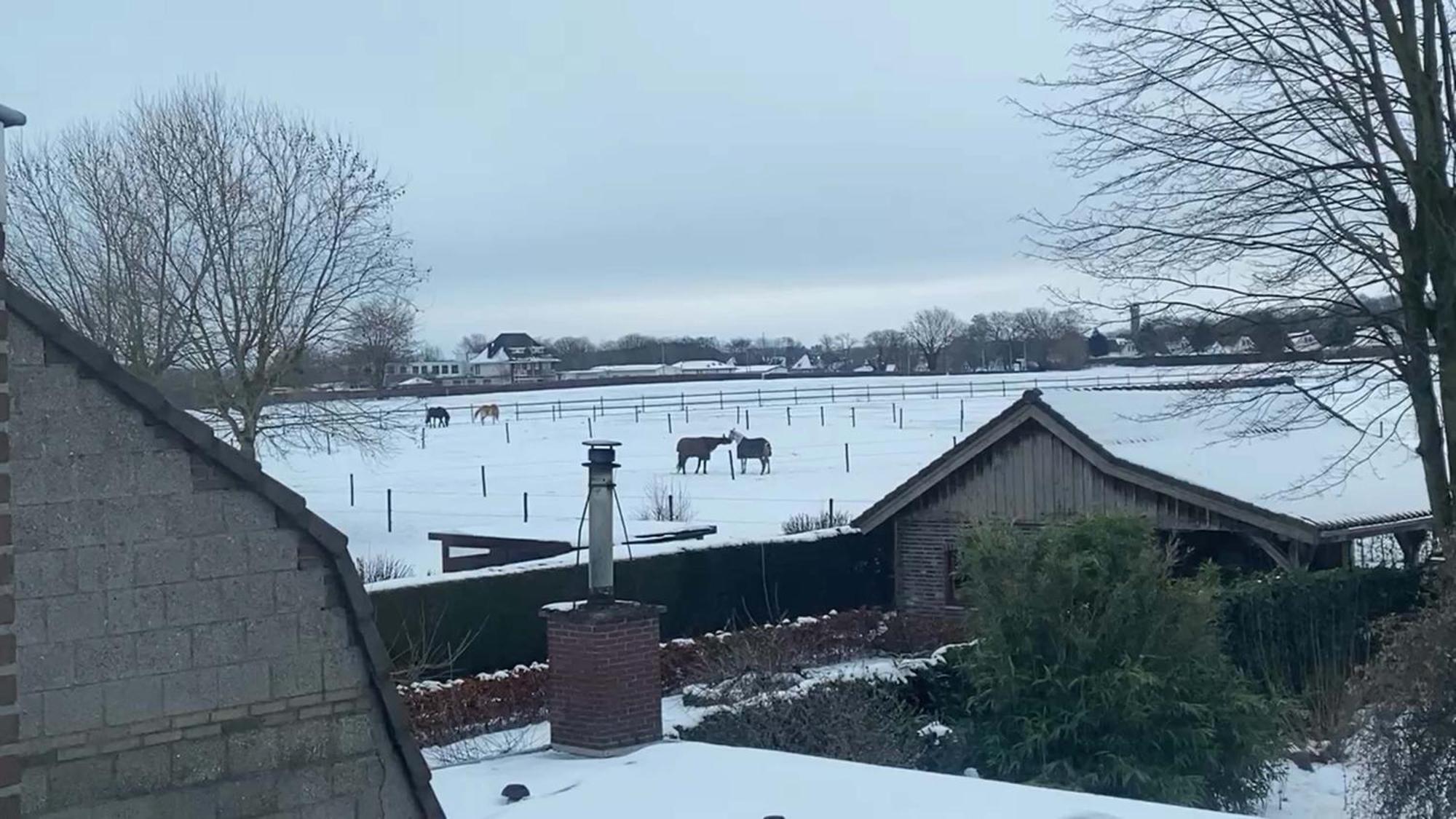 Vida Frühstückspension Valkenburg aan de Geul